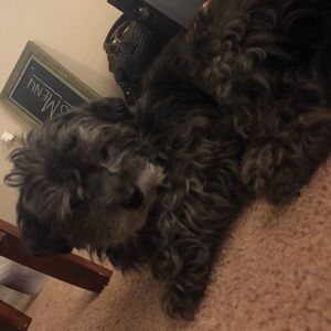 Meet your Posher, Stephen